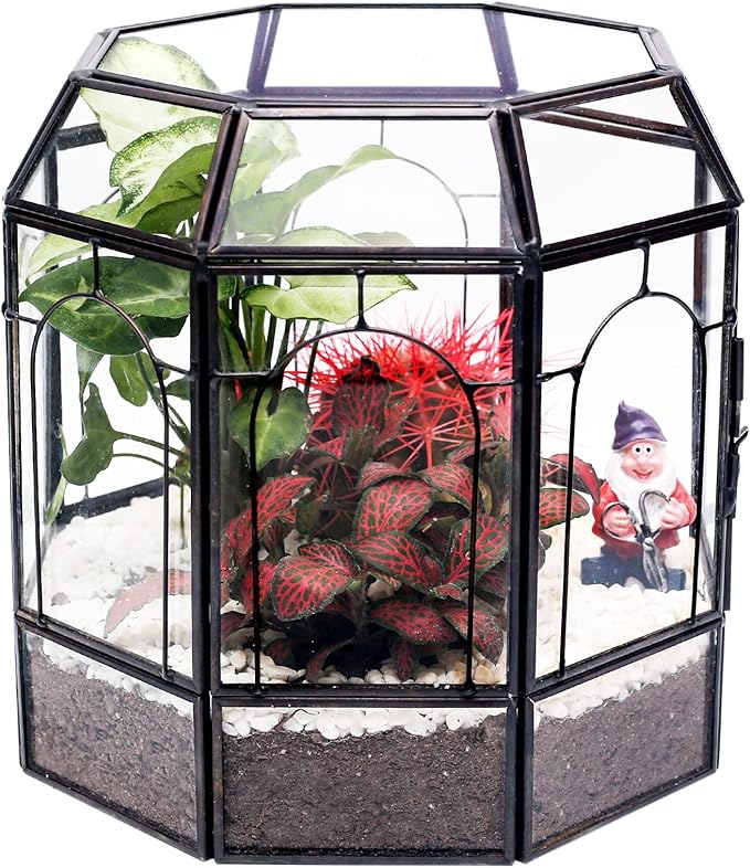 Large Glass Terrarium Handmade, Centerpiece Display Box Gift Planter Containers Indoor Terrariums House for Succulent Cacti Air Plants Miniature Fairy Garden