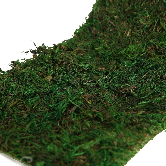 Moss Roll, Dried Moss for Crafts, Moss Table Runner for Fairy Gardens, Wedding Woodland Decor, Preserved Moss Mat for Table Decoration (4" W x 48" L)