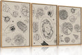 HPINUB Vintage Food and Drink Framed Canvas Wall Art Set,Sketch Pizza Cheers Wall Decor,Thanksgiving Dinner Turkey Artwork,Black and white Art Prints for Kitchen,Dining Room,Gatherings Decor-16"x24"x3