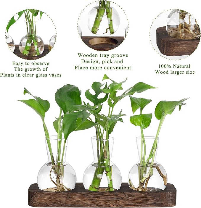 YIBOT Propagation Stations,Plant Propagation Vase,Desk Plant Terrarium with Retro Wooden Stand,Plant Lover Gifts for Women for Hydroponics Plants Home Garden Wedding Decor(3 Vase)