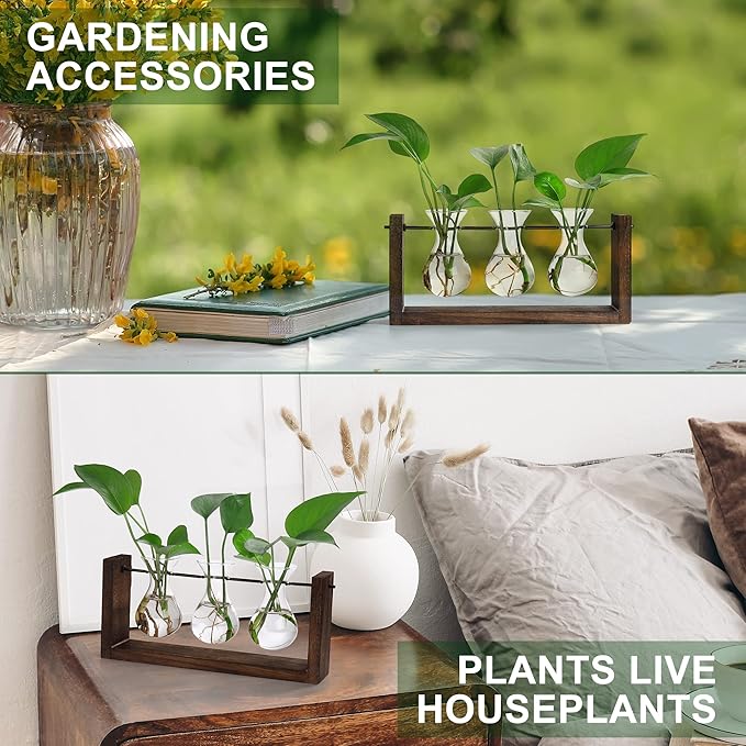 YIBOT Wall Hanging Planter Propagation Station, Plant Terrarium with Wooden Stand, Hydroponics Plants Home Office Living Room Decor Gift-3 Bulb Glass Vases