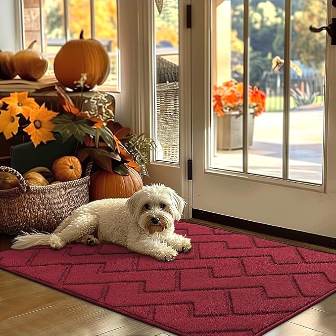 hicorfe Indoor Door Mat,Non Slip Door Mats,32"x48" Front Back Door Mat Rubber Backing,Absorbent Resist Dirt Entrance Inside Floor Mats for Entryway Washable Low-Profile(Red)