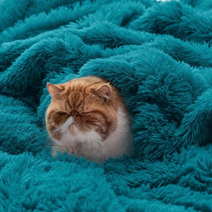 Bedsure GentleSoft Fuzzy Sherpa Faux Fur Twin Blanket Teal Cozy Gifts for Women Men, Soft Fleece Plush Warm Minky Thick Blanket Twin Size for Bed, Couch, Room Dorm Essentials Teal Decor Gifts, 60x80