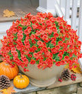 Artificial Fall Flowers Fake Plants for Outdoors Autumn Decoration, 12 Bundles Orange Silk Morning Glory with Eucalyptus Look Real UV Resistant Faux Flowers for Outside Planters Front Door Yard Indoor