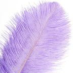 THARAHT Lavender Ostrich Feathers 12pcs Large Natural Bulk 16-18Inch 40cm-45cm for Wedding Party Centerpieces Easter Gatsbi and Decoration Feather