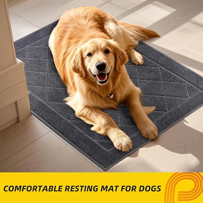 JSEI Dirt Trapper Door Mat 36"x60", Non-Slip Washable Entryway Mats, Dog Door Mat, Stain Resistant and Absorbent Floor Mats, Low Profile Welcome Mat for Front Back Door, Dark Grey