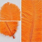 THARAHT Orange Ostrich Feathers 12pcs Natural Bulk 10-12Inch 25cm-30cm for Crafts Wedding Party Centerpieces Halloween and Home Decoration Feathers