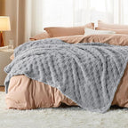 Bedsure GentleSoft Silver Grey Throw Blanket for Couch - Super Soft Cozy Blankets Gifts for Women Men Girls, Cute Small Fleece Throws for Bedroom Home Decor, 50x70 Inches