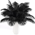 THARAHT Black Ostrich Feathers 24pcs Natural Bulk 10-12Inch 25cm-30cm for Crafts Wedding Party Centerpieces Halloween and Home Decoration Feathers