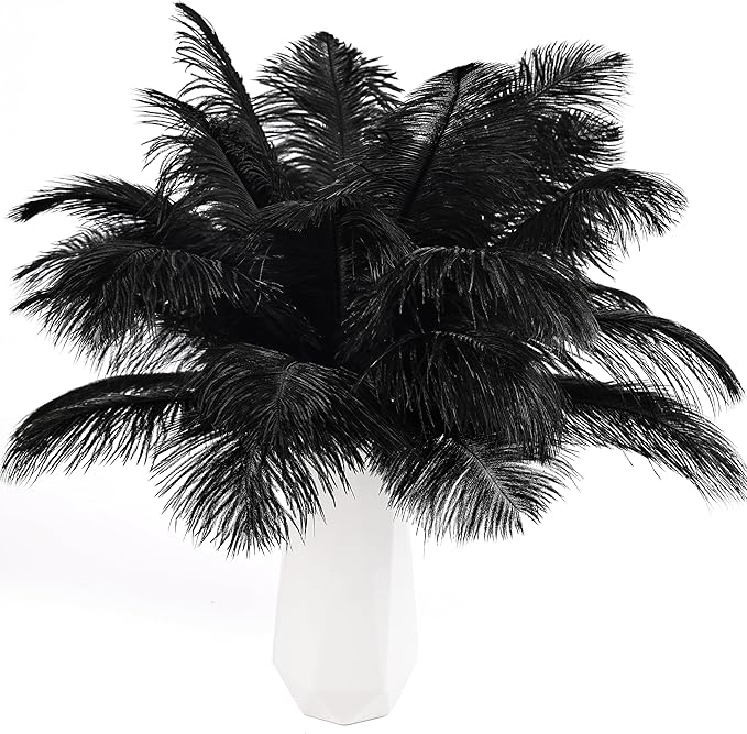 THARAHT Black Ostrich Feathers 24pcs Natural Bulk 8-10Inch 20cm-25cm for Crafts Wedding Party Centerpieces Halloween and Home Decoration Feathers