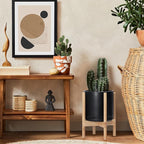 D'vine Dev Ceramic Planter with Natural Stand - 10 Inch Modern Round Flower Pot with Wood Planter Holder, Black, 55-B-K-2
