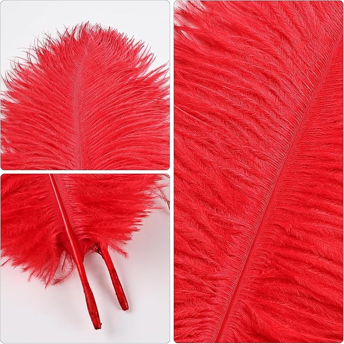 THARAHT Red Ostrich Feathers 12pcs Natural Bulk 8-10Inch 20cm-25cm for Crafts Wedding Party Centerpieces Flower Arrangement Halloween and Home Decoration Feathers