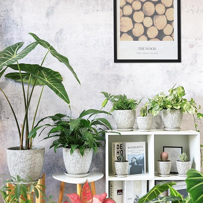 6 Inch Ceramic Planter Pots with Drainage Hole and Saucers for Indoor Plants, Garden Pots for Succulent, Orchid, and Flower - Set of 2