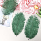 THARAHT Blackish Green Ostrich Feathers 24pcs Natural Bulk 8-10Inch 20cm-25cm for Crafts Wedding Party Centerpieces Mardi Gras Decoration Feather