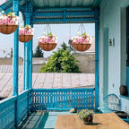 Hanging Planters Basket Outdoor Indoor(14 inch 4 Pack)-Coconut Coir Hanging Baskets for Plants Outdoor,Metal Wire Baskets with Coco Liner Window Box Planters, hanging Flower Pots For Railings…