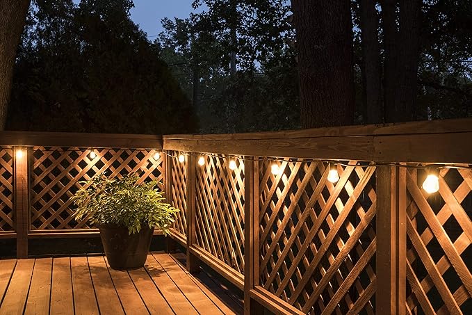 Enbrighten LED Bistro Outdoor String Lights, 48ft, 24 Shatter Resistant Lifetime Bulbs, 2200K Warm White, Weather Resistant, Indoor/Outdoor, Commercial Grade, Perfect for Backyard, Porch, Patio, 38357