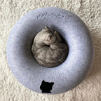 Cattasaurus Peekaboo Cat Cave, Extra Spacious for Multiple & Large Cats 12+ lbs, Scratch Detachable Beds for Indoor Cats, Washable Tunnel Bed, Comfy Cat Donut Tunnel (Light Gray+Light Gray, Jumbo)