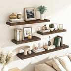 RICHFOCUS Elm Floating Shelves for Wall - 24" W x 9.3" D Rustic Solid Wood Shelves with Invisible Bracket, Wall-Mounted for Living Room, Bedroom, Kitchen Storage & Display, Set of 2, Walnut