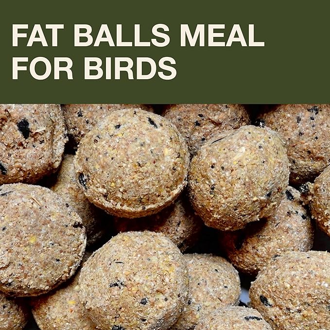 SWISSINNO No Mess Bird Feeder Lucerne Smart Birds for Fat Balls - Feed Birds, not mice & Rats! Robust & Reliable for Hanging - Green