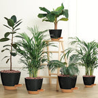 '- Uneed Plastic Flower Pot,5-Pack Plant Pots with Drainage 7/6.5/6/5.5/5 Inch,Self Watering Pots for Indoor Plants,Planters for Indoor Outdoor Plants (Black)