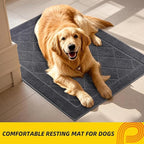 JSEI Dirt Trapper Door Mat 24"x36", Non-Slip Washable Entryway Mats, Dog Door Mat, Stain Resistant and Absorbent Floor Mats, Low Profile Welcome Mat for Front Back Door, Dark Grey