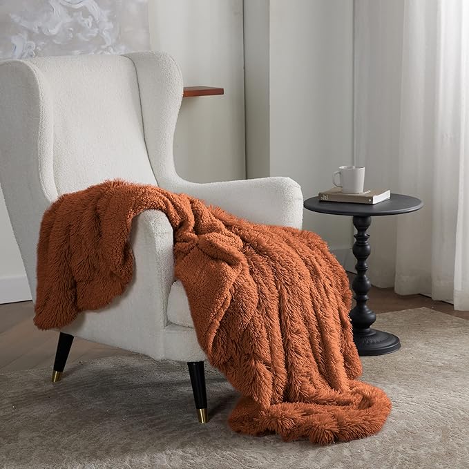 Bedsure GentleSoft Fluffy Burnt Orange Throw Blanket Fall Decorations for Home, Terracotta Blanket Fall Decor for Living Room, Soft Sherpa Fleece Fuzzy Faux Fur Plush Orange Gifts for Women, 50x60