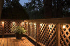 Enbrighten LED Bistro Outdoor String Lights, 24ft, 12 Shatter Resistant Lifetime Bulbs, 2200K Warm White, Weather Resistant, Indoor/Outdoor, Commercial Grade, Perfect for Backyard, Porch, Patio, 38356