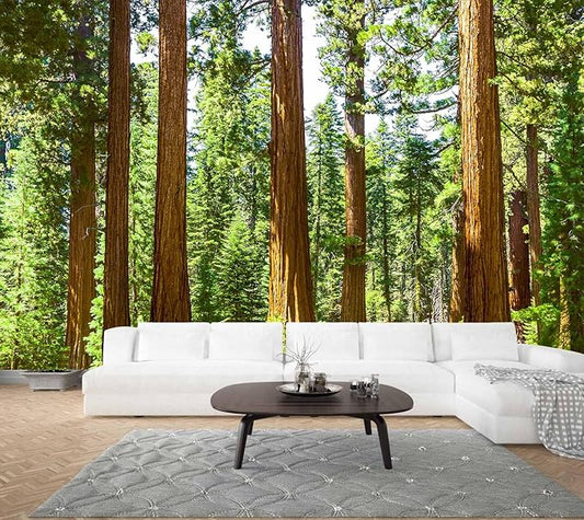 WFBHUA-Redwood Forest Wallpaper Green Woodland Tree Wallpaper for Bedroom Large Art Wall Murals for Living Room Office (Not Peel and Stick)