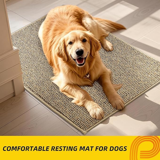 JSEI Dirt Trapper Door Mat 20"x32" Non-Slip Washable Entrance Mat, Dog Doormats, Absorbent & Fade-Resistant Floor Mats, Low Profile Welcome Mats for Entryway, Front Door, and Inside Entrance, Beige