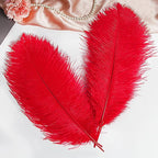 THARAHT Red Ostrich Feathers 12pcs Large Natural Bulk 14-16Inch 35cm-40cm for Wedding Party Centerpieces Halloween and Home Decoration Feathers