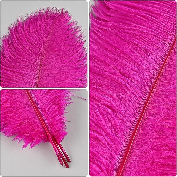 THARAHT Hot Pink Ostrich Feathers 12pcs Natural Bulk 8-10Inch 20cm-25cm for Crafts Wedding Party Centerpieces Easter Gatsbi and Home Decoration Feathers
