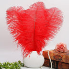 THARAHT Red Ostrich Feathers 12pcs Large Natural Bulk 14-16Inch 35cm-40cm for Wedding Party Centerpieces Halloween and Home Decoration Feathers