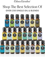 Edens Garden Concentration & Memory Essential Oil Blend- 100% Pure Premium Grade, Undiluted, Natural, Therapeutic, Aromatherapy, The Best for Diffusing, Kid Safe, Humidifiers, Skin 10 ml (.33 fl oz)
