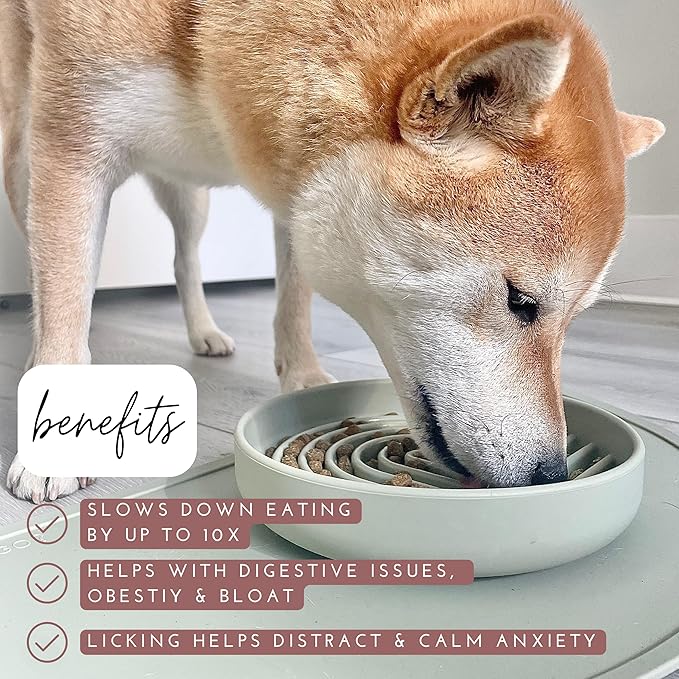 The Slowdown Bowl Silicone Slow Feeder for Dogs & Puppies, Slow Eating, Modern Lick Mat Design, Reduces Gulping, Fits 2 Cups 7.5” Across x 1.5” Tall, Mealtime Challenge, Medium-Spruce