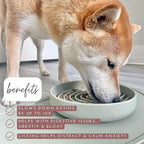 The Slowdown Bowl Silicone Slow Feeder for Dogs & Puppies, Slow Eating, Modern Lick Mat Design, Reduces Gulping, Fits 2 Cups 7.5” Across x 1.5” Tall, Mealtime Challenge, Medium-Charcoal
