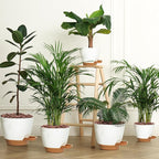 Uneed Indoor Self Watering Planters with Drainage Holes and Saucers, 7/6.5/6/5.5/5 Inch-5 Pots,for Indoor Plants, Herbs, Succulents (White)
