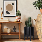 D'vine Dev Ceramic Planter with Ebony Stand - 10 Inch Modern Round Flower Pot with Wood Planter Holder, Black, 55-B-L-2