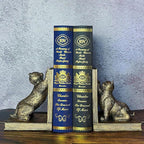 Book Ends for Shelves to Hold Books Heavy Duty,Decorative Bookend for Bookshelf Décor,Cute Animal Cat Book Stopper Cat Statues for Home, Office Desk Decoration,1pair